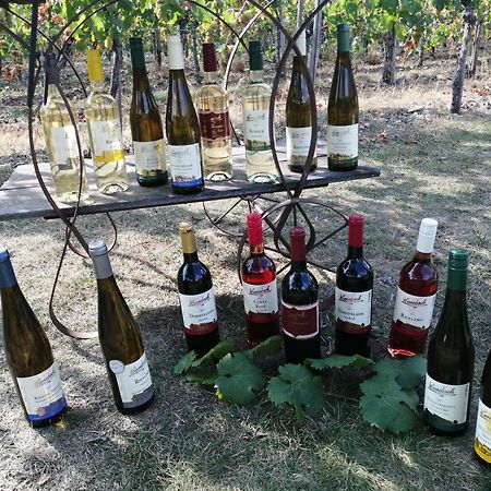 Ferienweingut Winnebeck Kowerich Экстерьер фото
