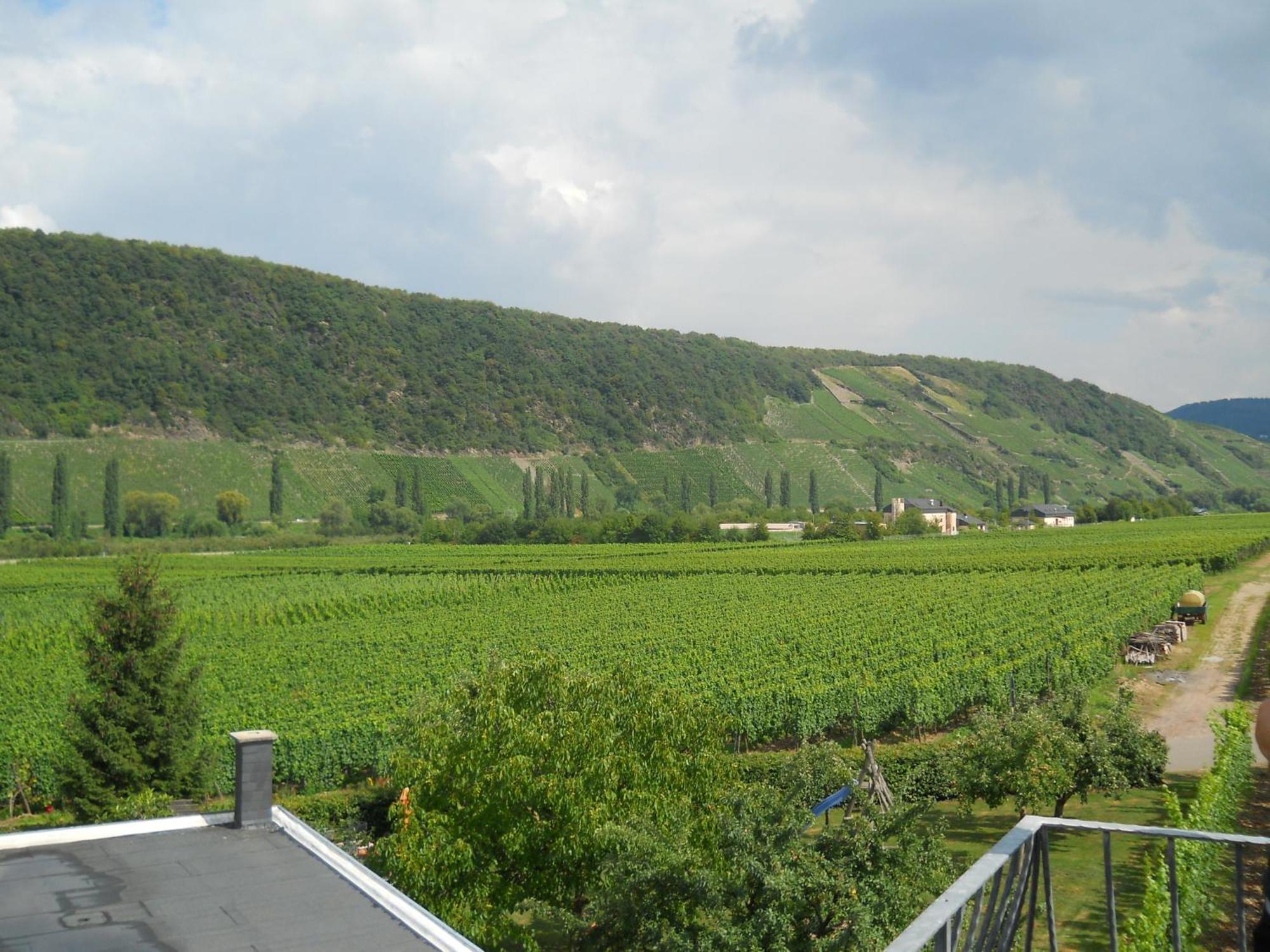 Ferienweingut Winnebeck Kowerich Номер фото