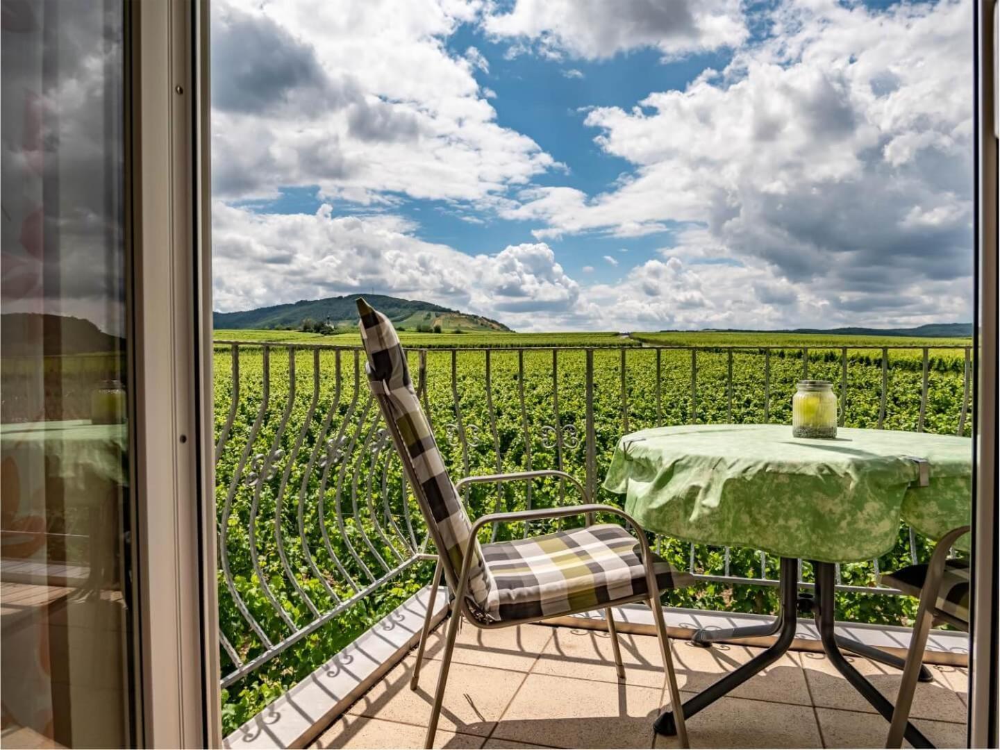 Ferienweingut Winnebeck Kowerich Экстерьер фото