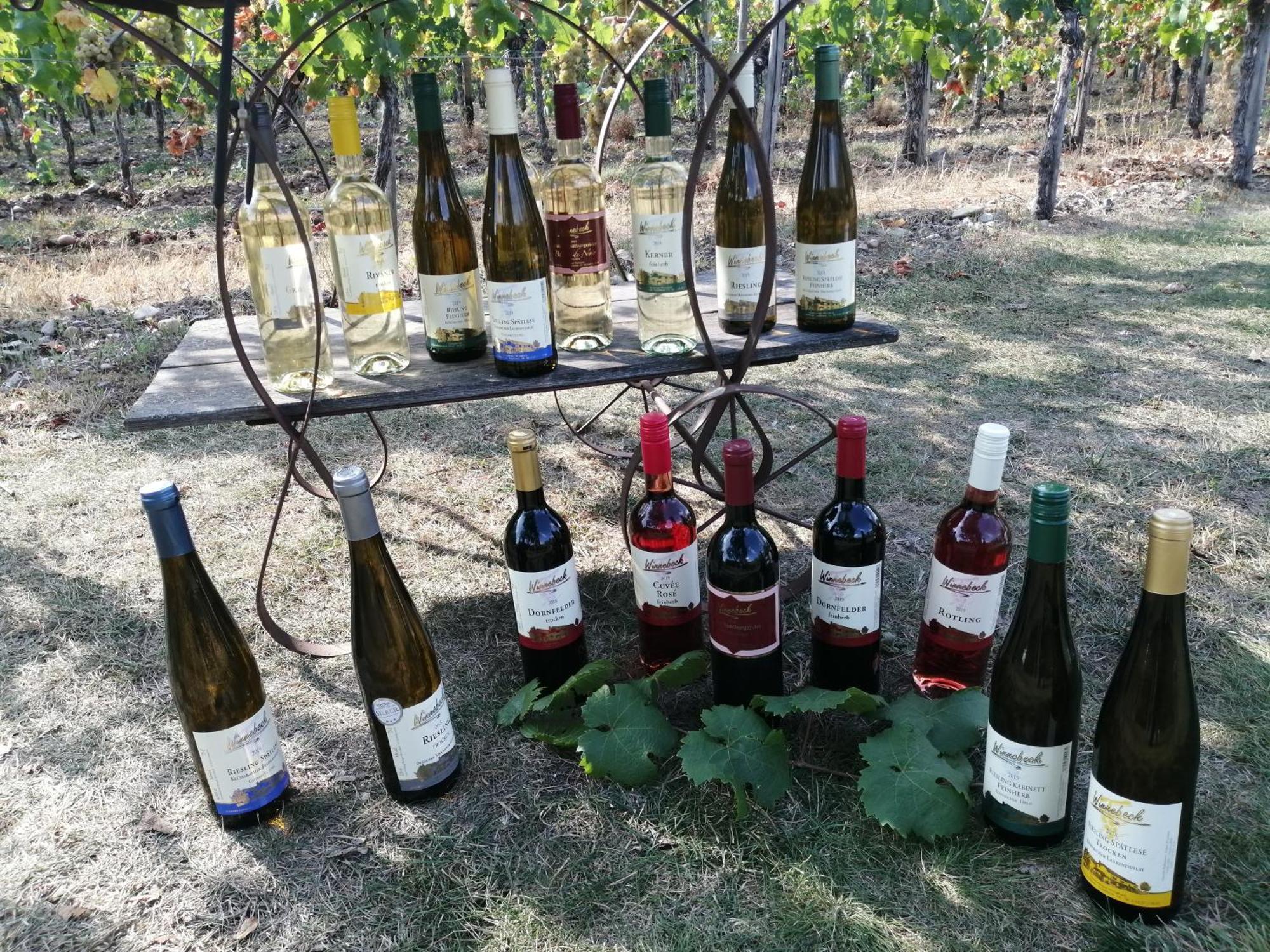Ferienweingut Winnebeck Kowerich Экстерьер фото