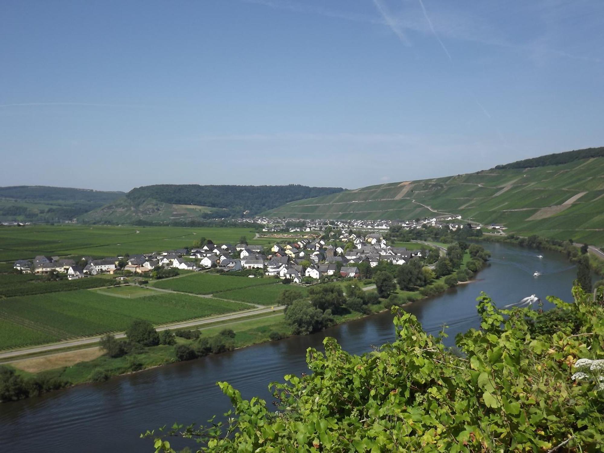 Ferienweingut Winnebeck Kowerich Номер фото