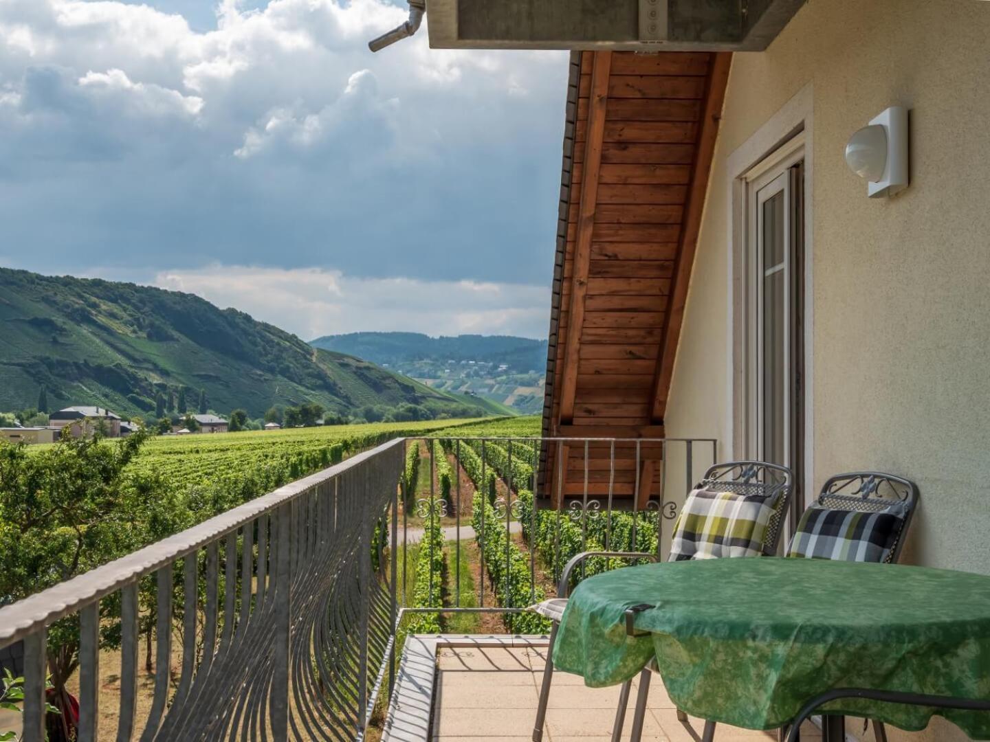 Ferienweingut Winnebeck Kowerich Экстерьер фото