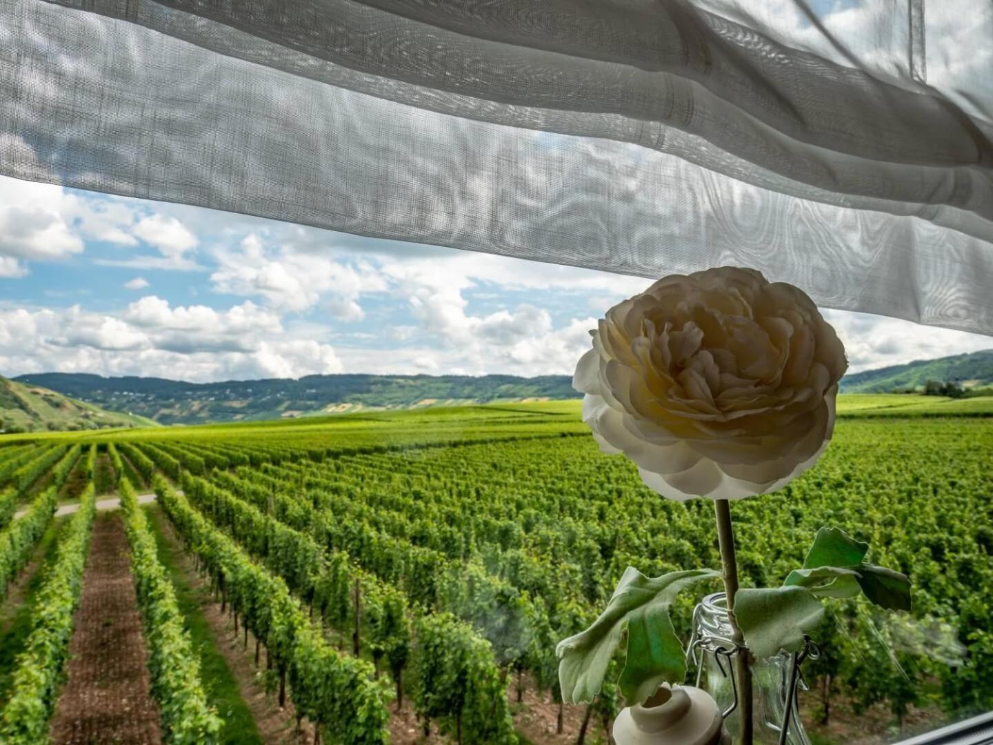 Ferienweingut Winnebeck Kowerich Экстерьер фото