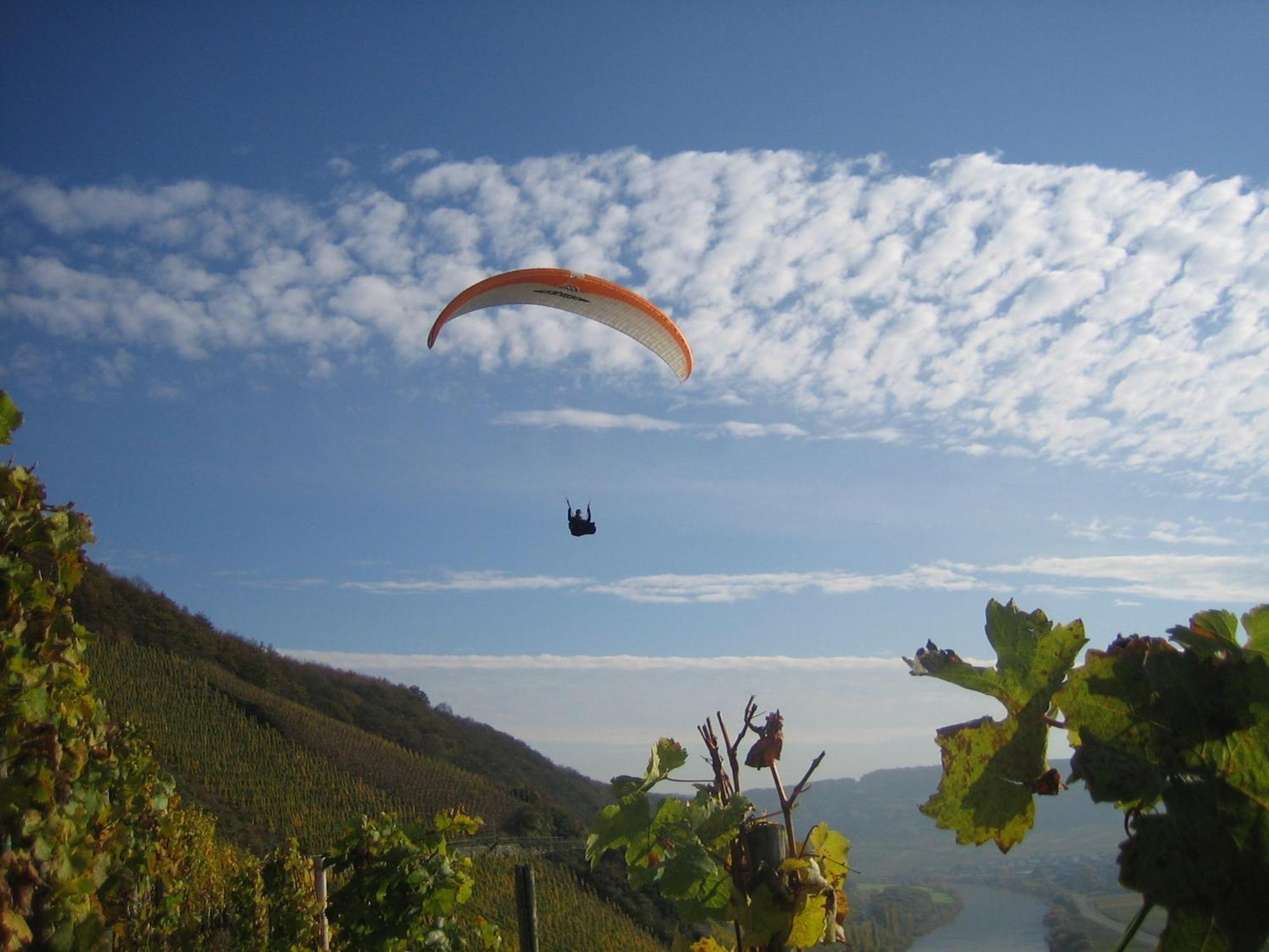 Ferienweingut Winnebeck Kowerich Экстерьер фото