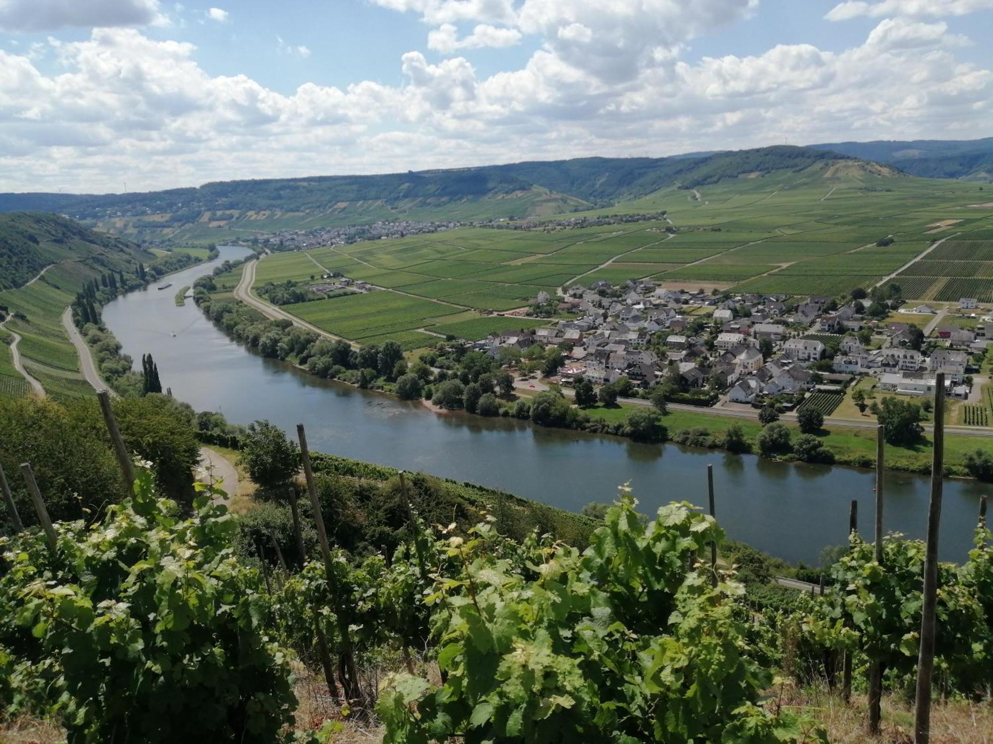 Ferienweingut Winnebeck Kowerich Экстерьер фото