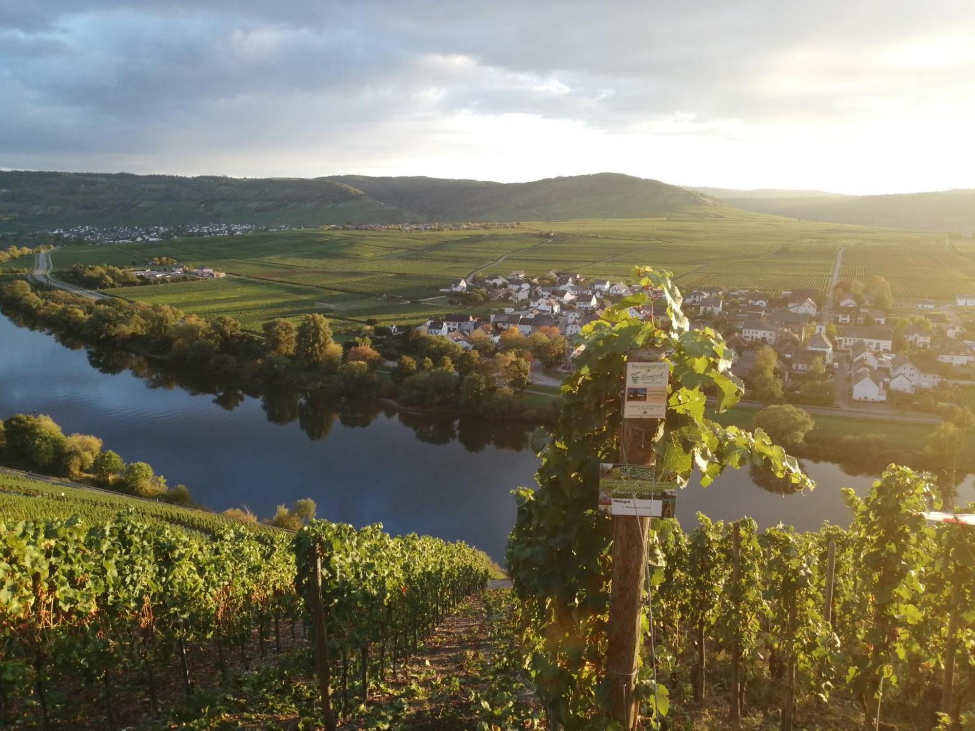 Ferienweingut Winnebeck Kowerich Экстерьер фото